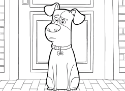 The Secret Life of Pets Online Coloring